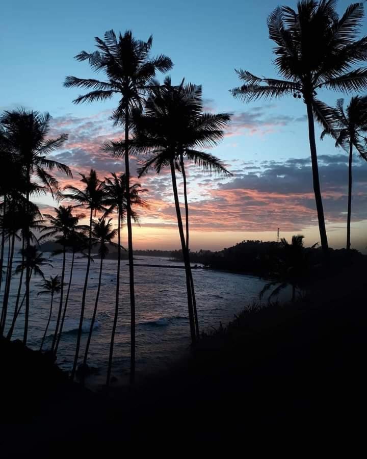 Coconut Reach Otel Mirissa Dış mekan fotoğraf