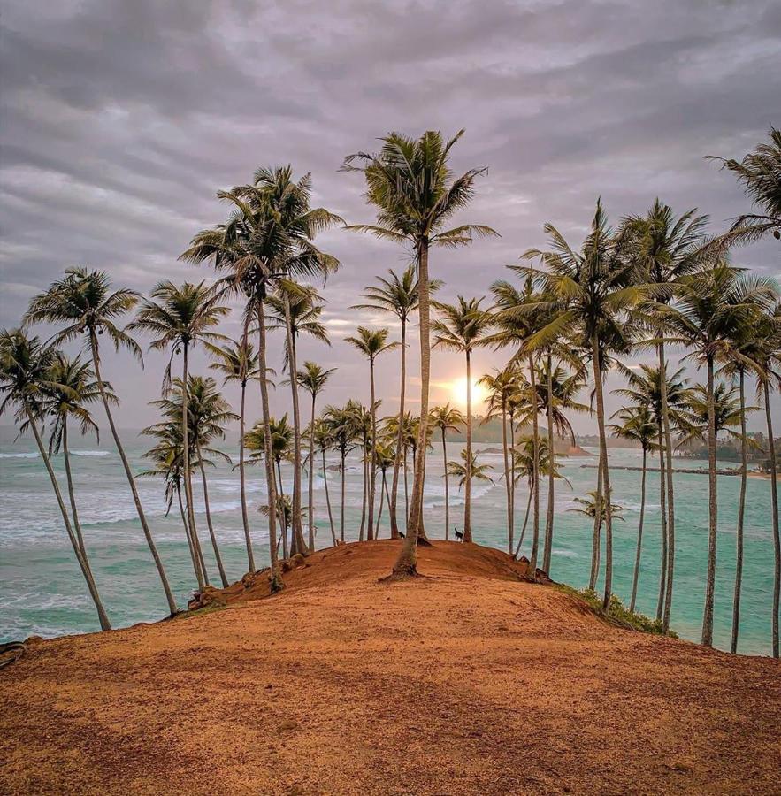 Coconut Reach Otel Mirissa Dış mekan fotoğraf