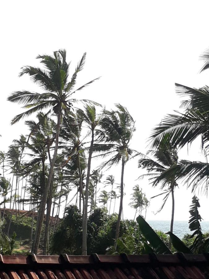 Coconut Reach Otel Mirissa Dış mekan fotoğraf