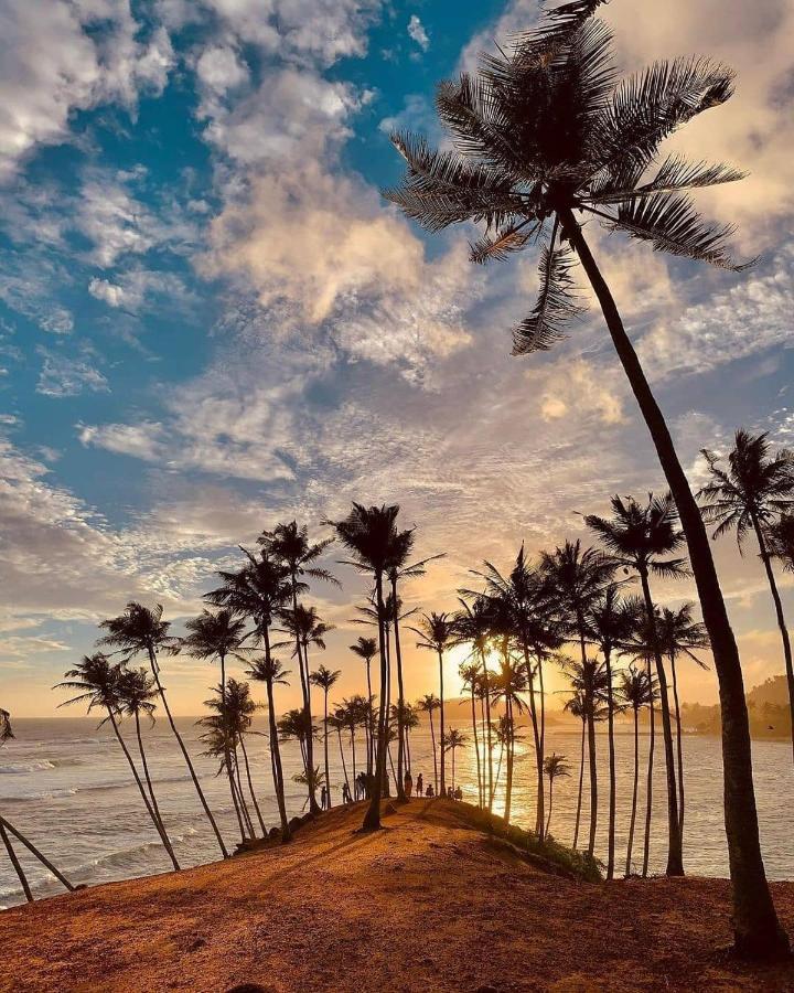 Coconut Reach Otel Mirissa Dış mekan fotoğraf