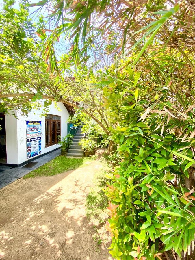 Coconut Reach Otel Mirissa Dış mekan fotoğraf