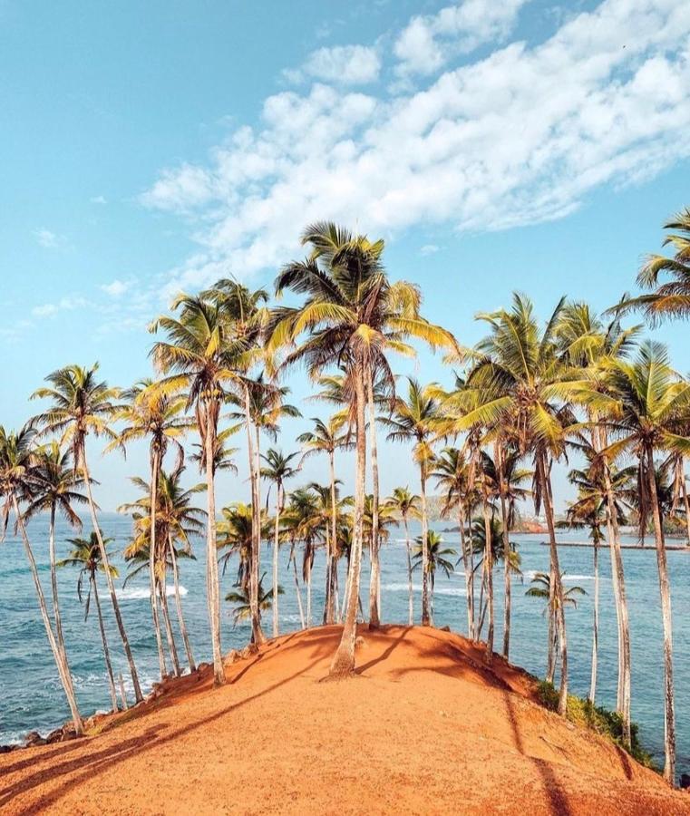 Coconut Reach Otel Mirissa Dış mekan fotoğraf