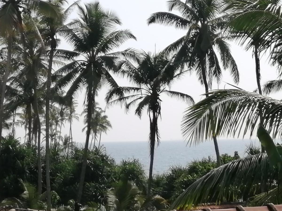 Coconut Reach Otel Mirissa Dış mekan fotoğraf