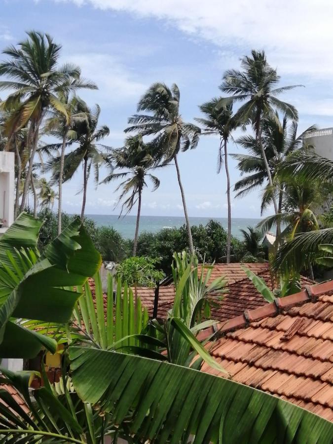 Coconut Reach Otel Mirissa Dış mekan fotoğraf